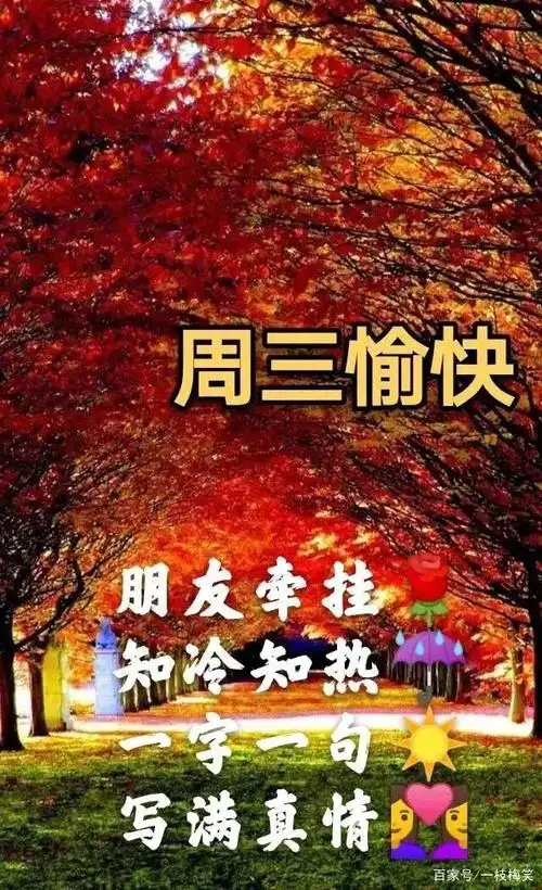 周三早上好问候祝福语动态表情图片星期三早安加油