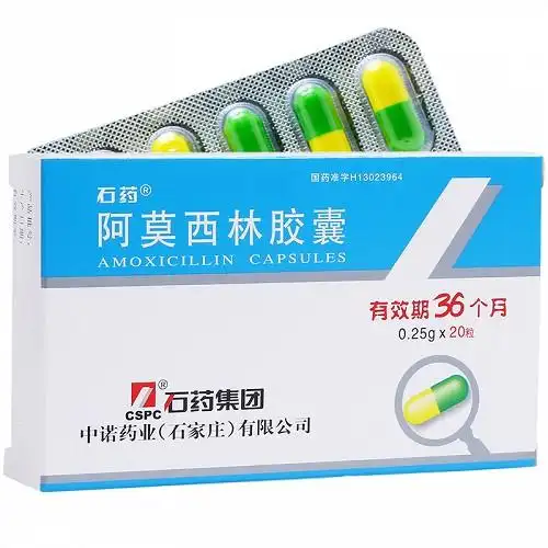 石药阿莫西林胶囊025g20粒