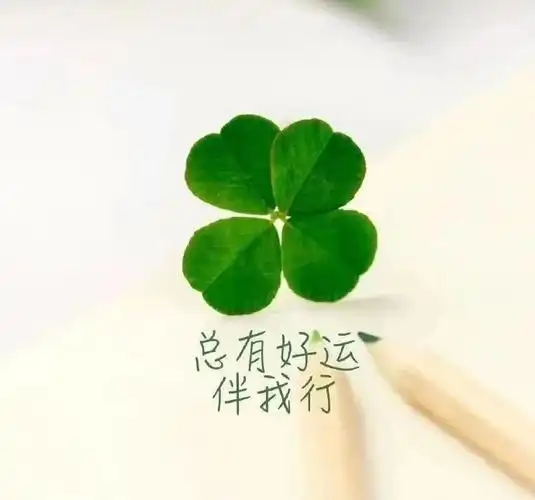 2020最流行的人生感悟经典语录,每一句都触动心灵