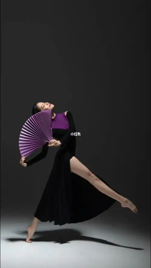 舞蹈写真创意长裙舞蹈基本功