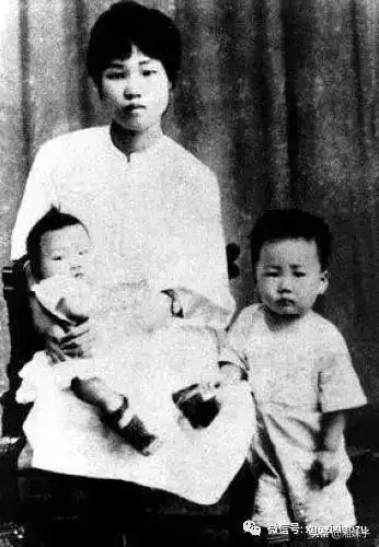 初心家书杨开慧的托孤信里写了什么