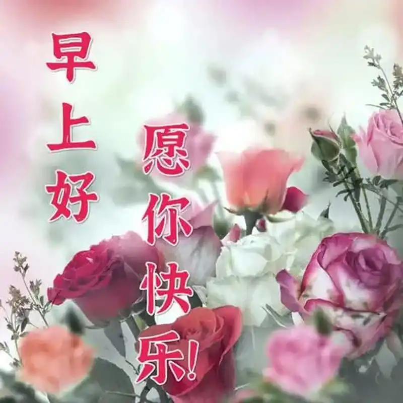 早上好,一杯清茶,意境无限,心头回味.一位知己,情意深厚,珍藏在心.