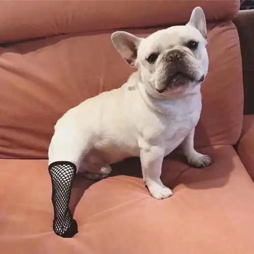 搞怪头像皮皮珍