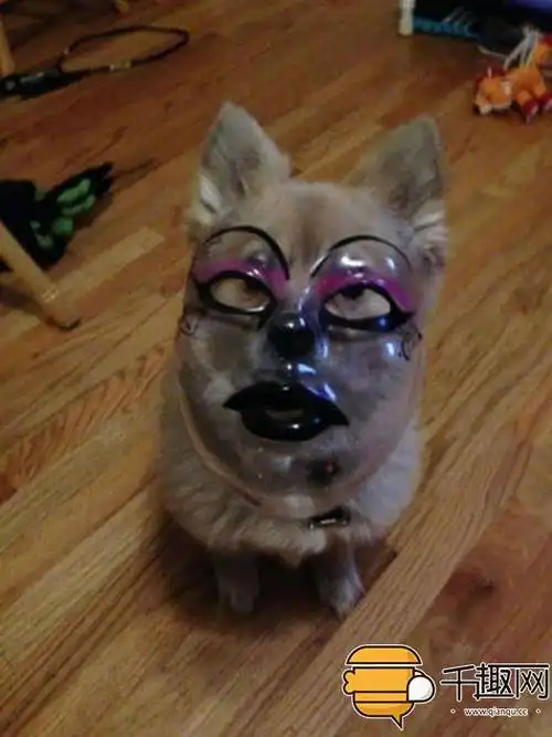 看到这20张奇葩搞笑的照片,你绝对会目瞪口呆!