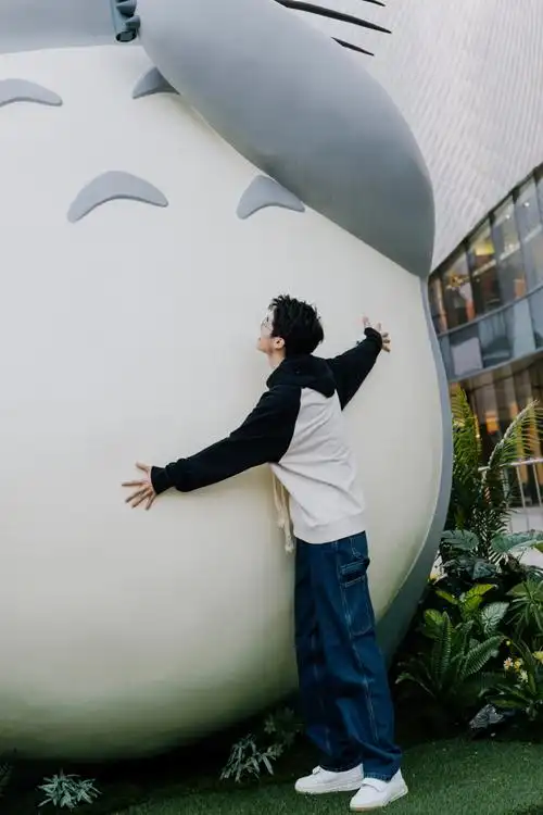 刘昊然把宫崎骏电影穿在身上