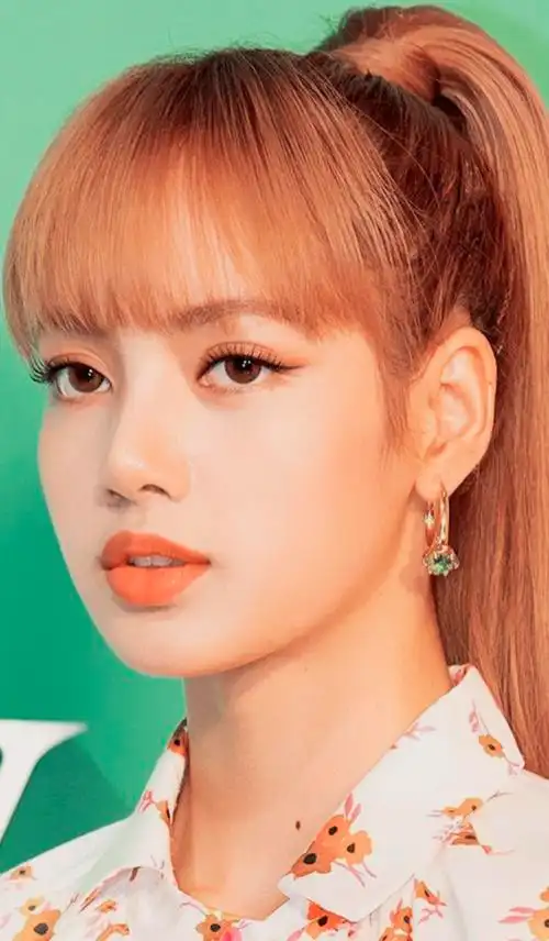 lisa:韩国明星,女明星.