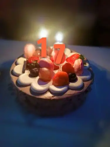 十七岁的第一个蛋糕-堆糖,美好生活研究所