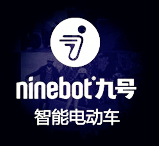 涞水小米九号智能电动车