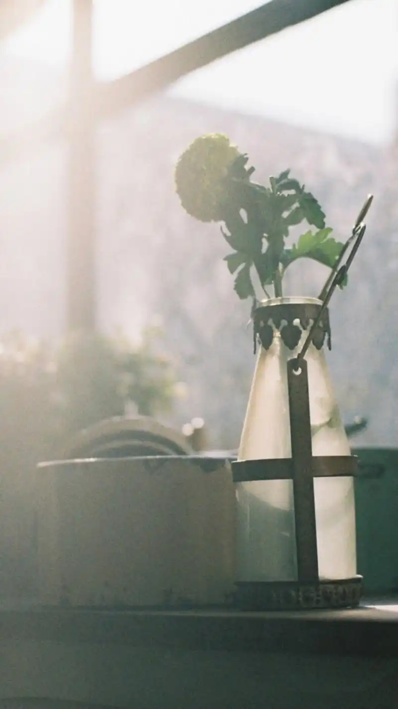 文艺清新居家静物高清图片手机壁纸