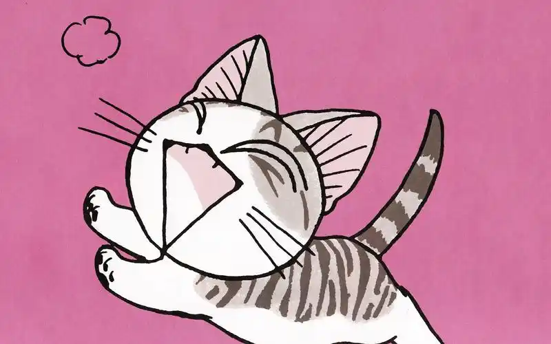 《甜甜起司猫》电脑桌面壁纸大全高清大图预览1920x1200_卡通动漫下载