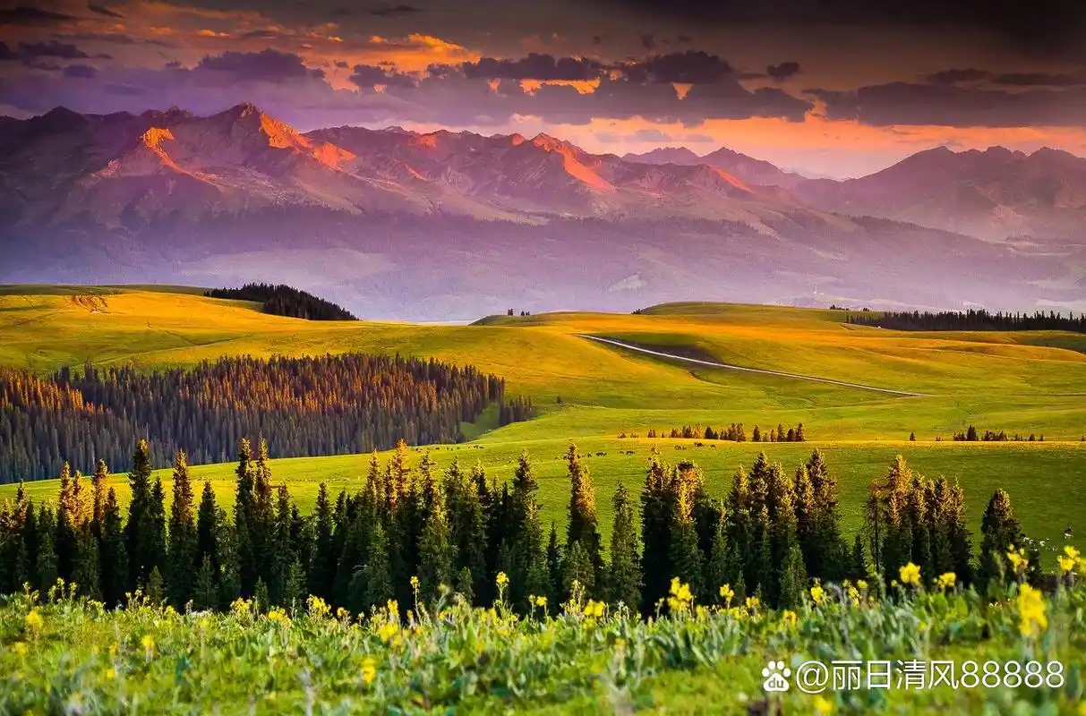 大美新疆,草原,野花,高山,湖泊构成壮观的美景.