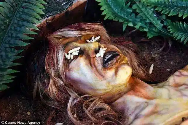 史上最恶心腐烂女尸蛋糕!近看肚子超恶但好吃到你会忍不住咬下去!