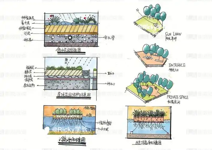 园林景观  #环艺考研  #23考研  #环艺设计考研  雨水花园与净化73