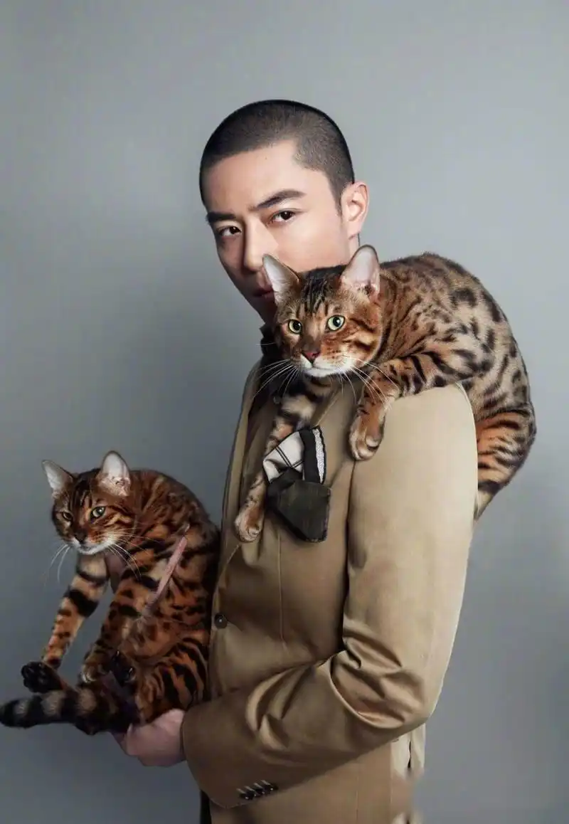 霍建华最新时尚写真曝光,寸头搭配质感西服和毛衣外套,展现"老派温柔