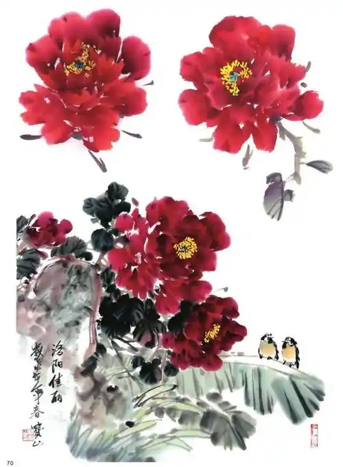 紫,红牡丹花头写意画法与形态参考