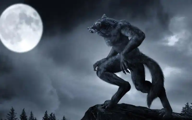 狼人图片-狼人壁纸图片大全