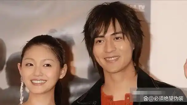 大s和蓝正龙在拍摄《流星花园》时相识,这段独特的经历成为娱乐圈的