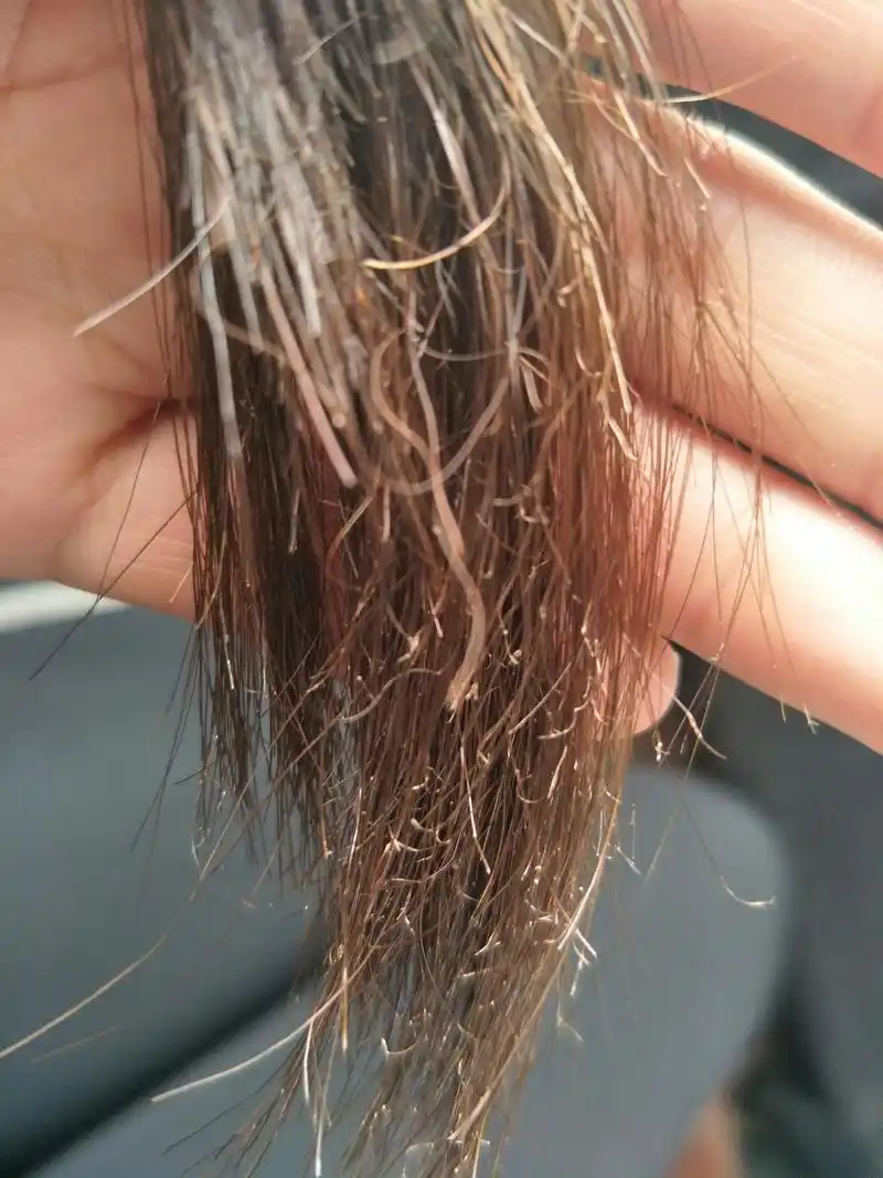 头发都焦了
