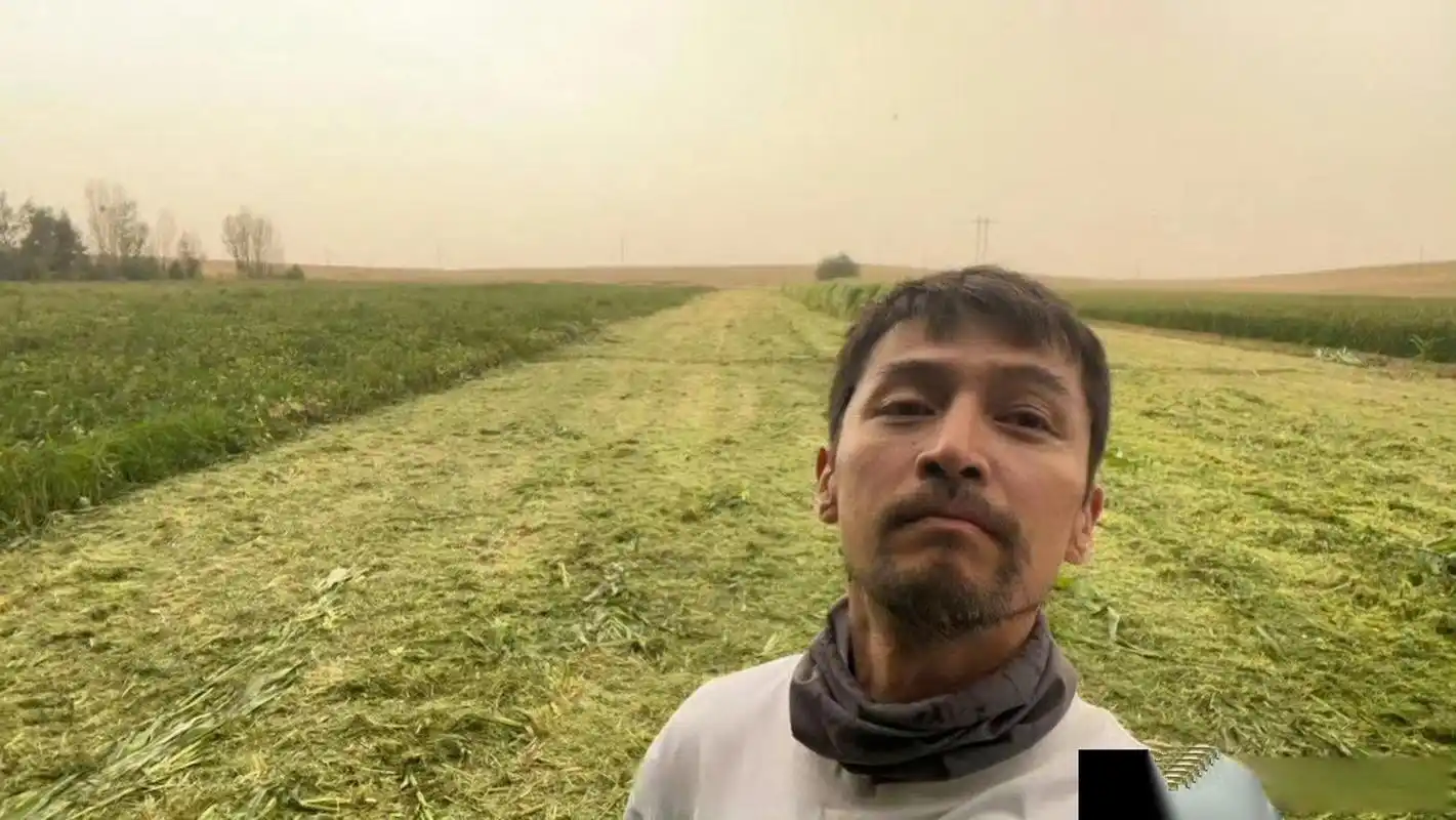 剃了胡子的胡歌