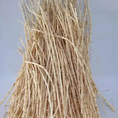 白茅根茅根新鲜野生丝毛根中药材凉茶食品茅草根带皮原生态优质