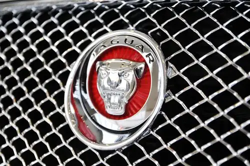 新款的车标换成了深红底色的豹头,相比老款更具攻击性.