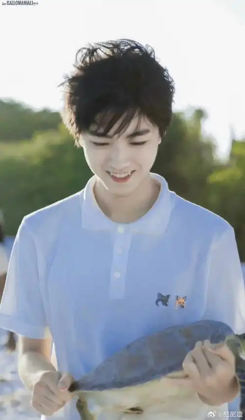 壁纸ok#王俊凯#王俊凯超话