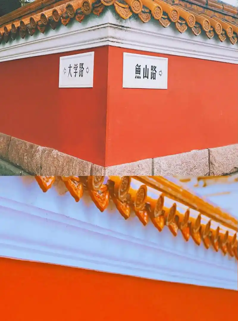 青岛探店006.‖青岛大学路 推荐理由:青岛最美网红墙,最美 - 抖音