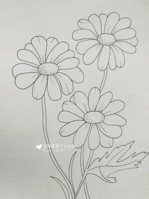 临摹线条画装饰画简笔画附带过程