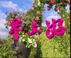 老年表情包别客气