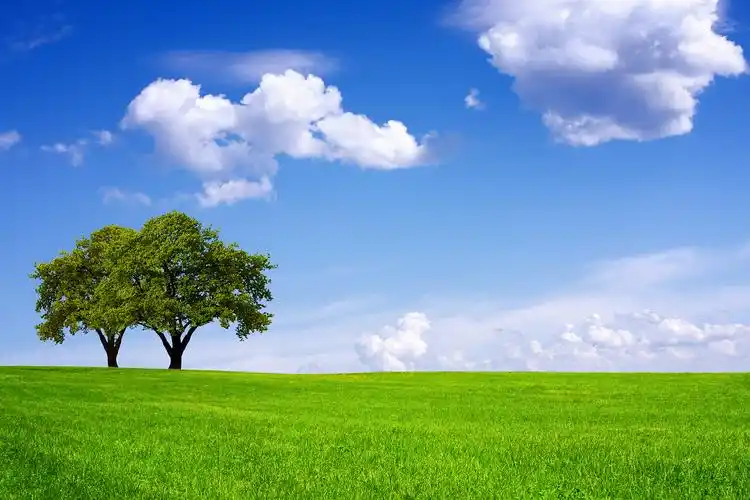 蓝天白云绿草地背景图片-蓝天白云绿草地背景素材下载-觅知网