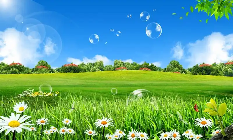 关键字:春天风景绿色草地花草树木环境绿化草地风景蓝天白云透明气泡