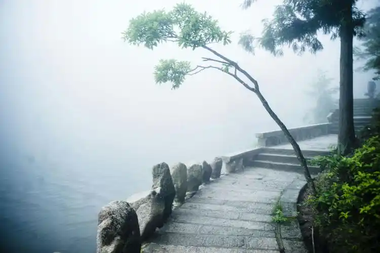 梦中仙境朦朦胧胧雾里天柱山