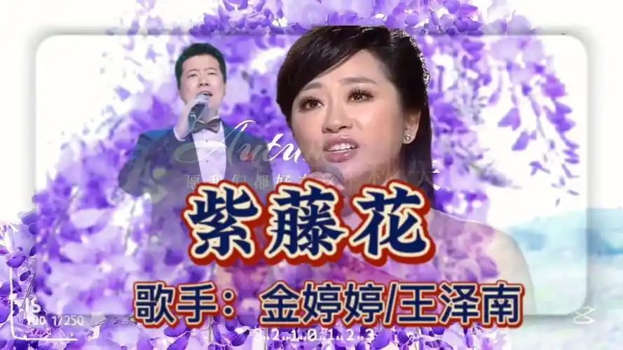 金婷婷/王泽南演唱《紫藤花》紫藤花, 洁白降紫美如云霞.