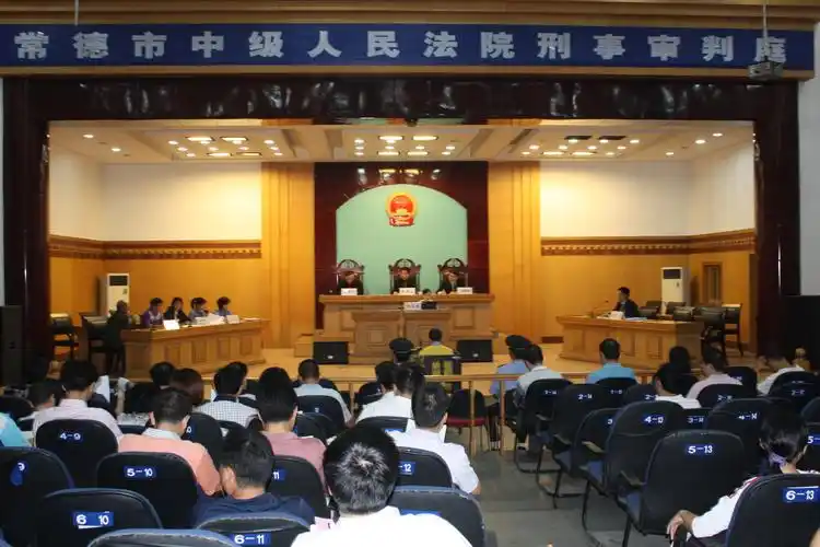 人大代表走进审判庭旁听庭审成常态