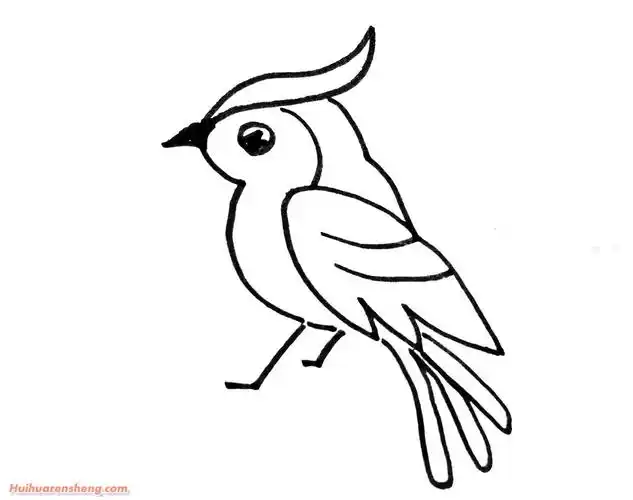 卡通小鸟简笔画画法图片步骤