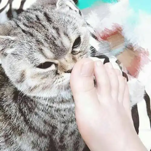 姐姐欺负人,让我问臭脚丫子