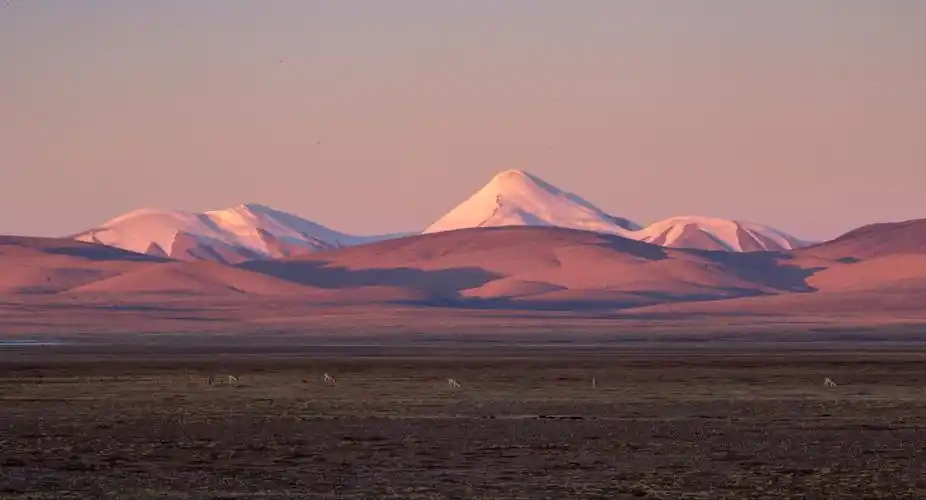 可可西里,一个久负盛名却很冷门之地,很多人听说过可可西里的壮美