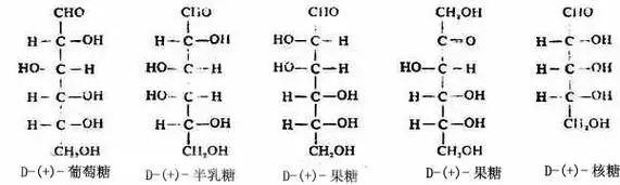 一,单糖的结构