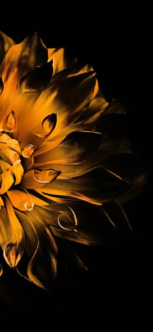 4k壁纸:单张点击率均1w以上的壁纸大集合,条纹波浪磨砂壁纸_3/4页