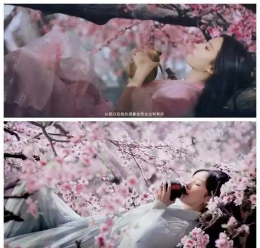 刘亦菲版白浅装扮太惊艳, 让"杨幂之后再无白浅"变成笑话