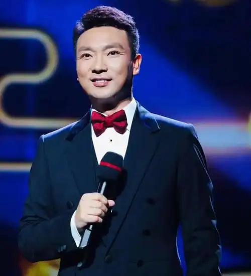 央视十大主持人排行榜第一名竟然是她