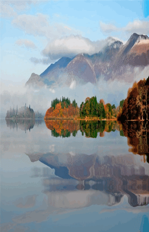 600_930竖版 竖屏gif 动态图 动图