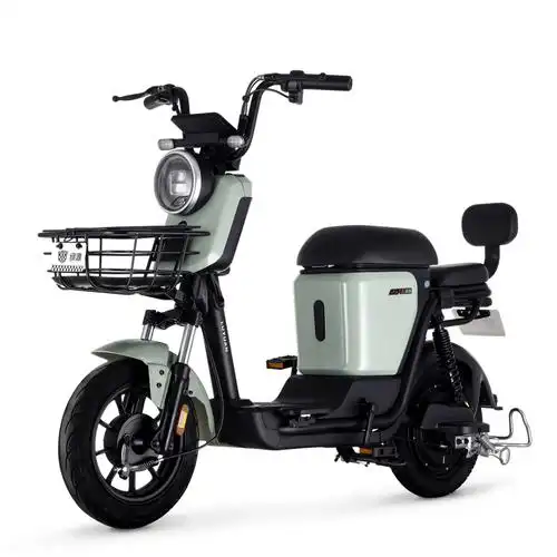 绿源电动车48v24a可提锂电池电动自行车zfa男女长续航代步电瓶车 冰白