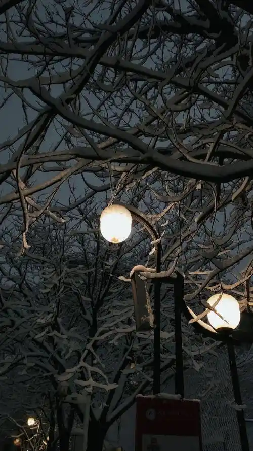 壁纸|ins风高级质感女生锁屏壁纸_表示歉意_图片_来自