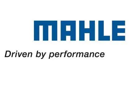 mahlepis 3141/2,2 fpm