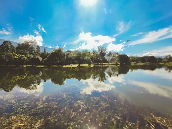1亿像素,5颗后置ai镜头,让人赞叹:这真的是手机拍出来的照片吗?