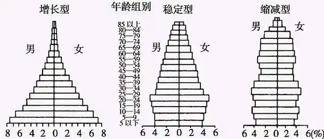 高中地理——每日讲1题(人口年龄金字塔,人口迁移)