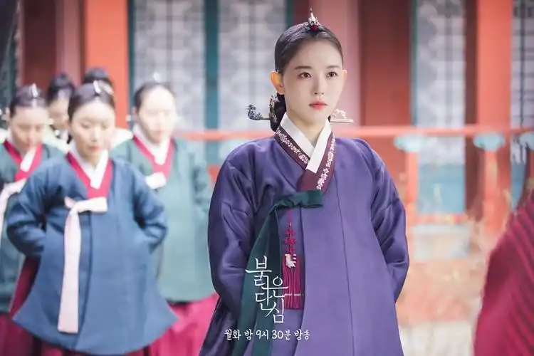 5月韩剧演员搜索关键词top5:《红丹心》姜汉娜