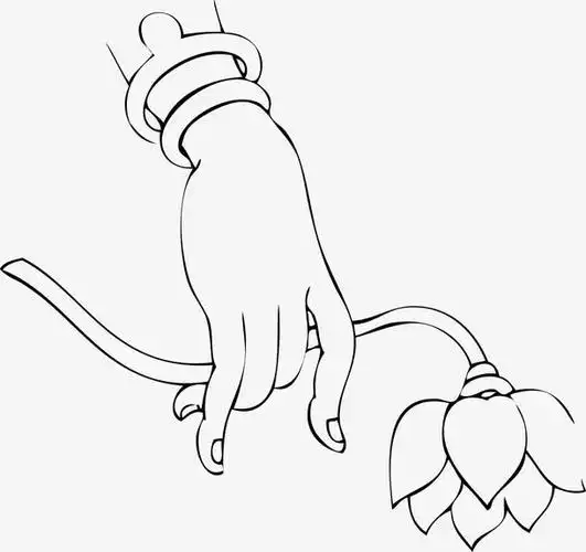 佛教手势观音手佛手荷花