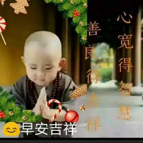 我在佛前许下一个愿